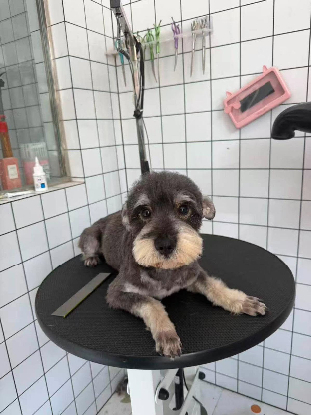 Adopter Jamie