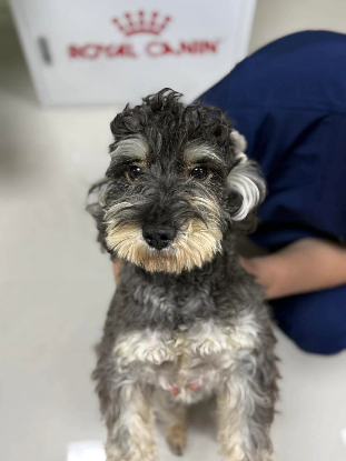 Adopter Jamie