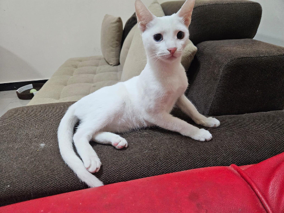 Adopter Nancy