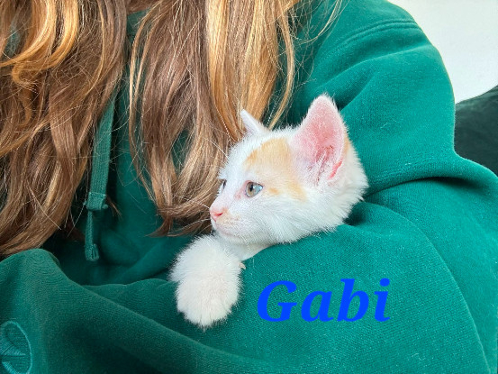 Adoption Gabi