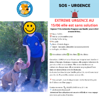 Adopter  chien : Loka