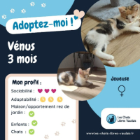 Adopter  chat : Venus