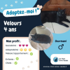 Velour