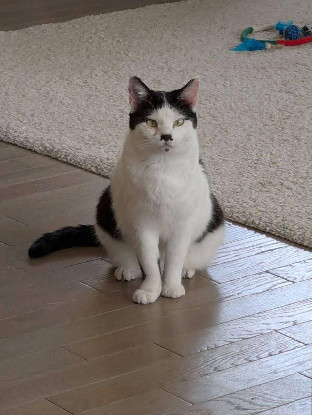 Adopter Emie