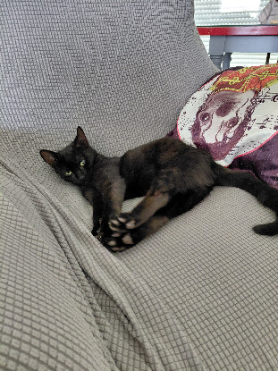Adopter Altrie