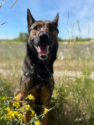 Adopter Aaron