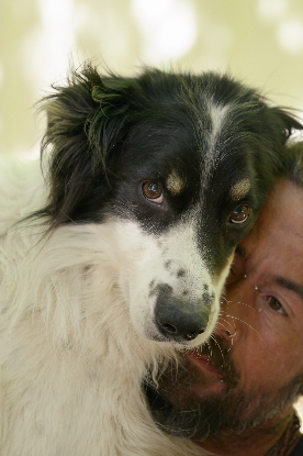 Adoption Osky