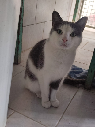 Adopter Nuage
