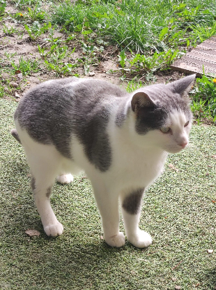 Adopter Nuage