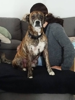 Adopter Tessa