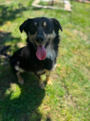 Adoption Kaï