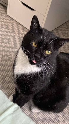 Adopter Mars