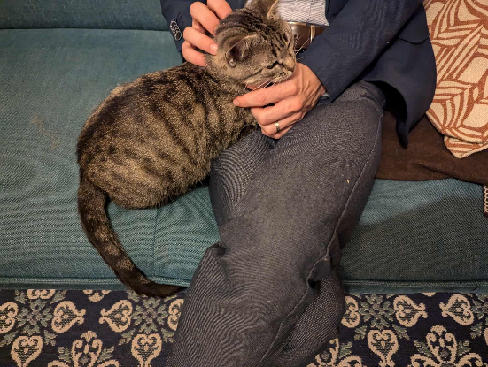 Adopter Aphrodite