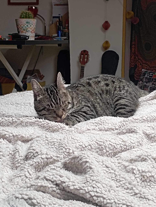 Adopter Bonnie