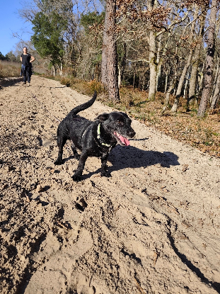 Adopter Tsuky