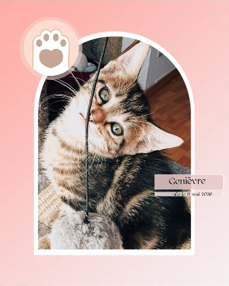Adopter Genievre et zoe