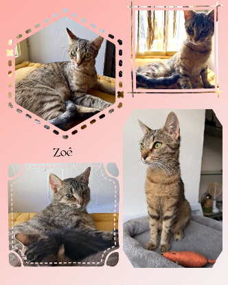 Adopter Genievre et zoe
