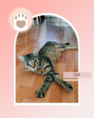 Adoption Genievre et zoe
