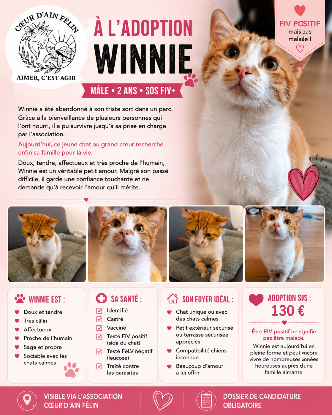 Adopter Winnie