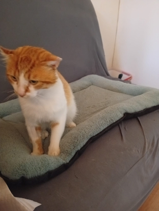 Adoption Winnie