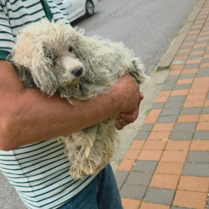Adoption Venus