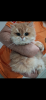 Viky
