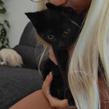 Adopter Cola