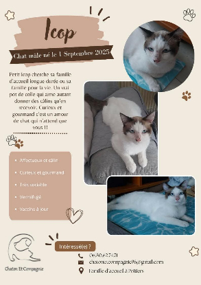 Adopter Icop