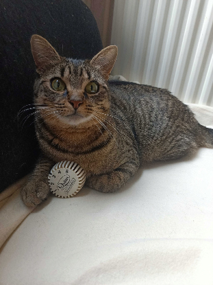 Adopter Twist