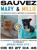 Mary & millie en france!!