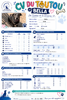 Adopter Bella