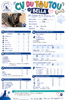 Adopter  chien : Bella