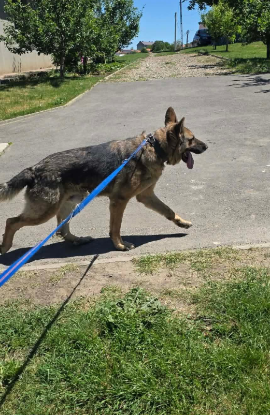 Adoption Kaiser