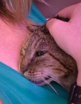 Adoption Balthazar