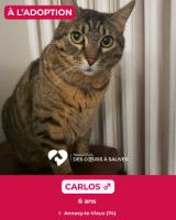 Adopter  chat : Carlos