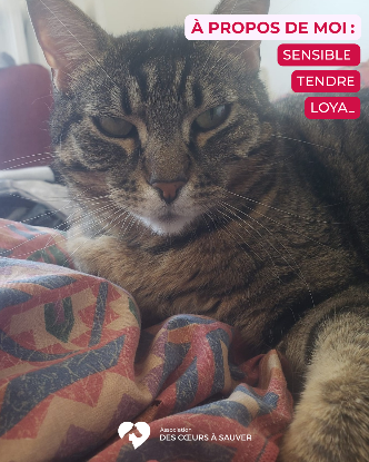 Adopter Carlos