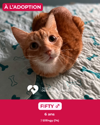 Adopter Fifty