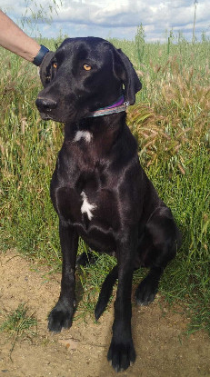 Adoption Tiana