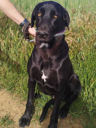 Adopter Tiana