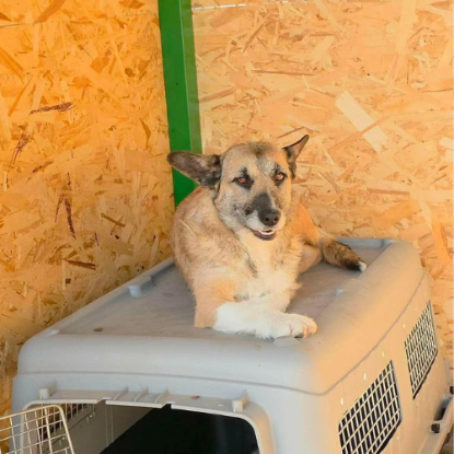 Adopter Carla