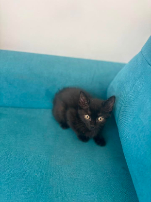 Adopter Neptune et mercure