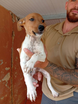 Adopter Lumi