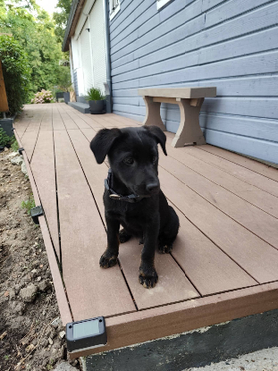 Adopter Loupix