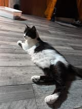 Adoption Billiejean