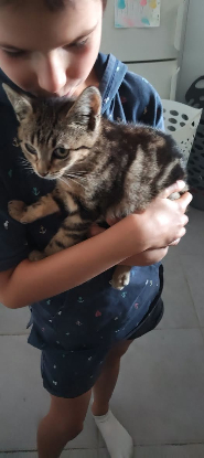 Adopter Grisou