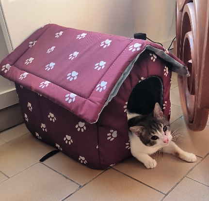 Adopter Balzac