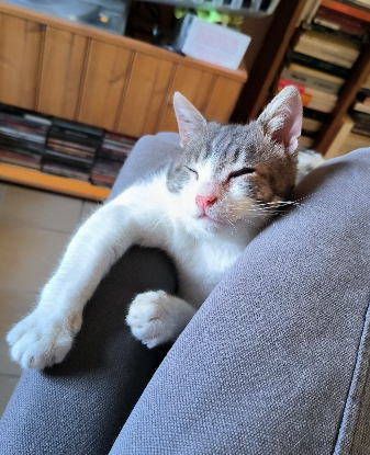 Adopter Balzac