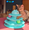 Miu