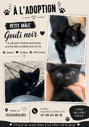 Adopter Gouti