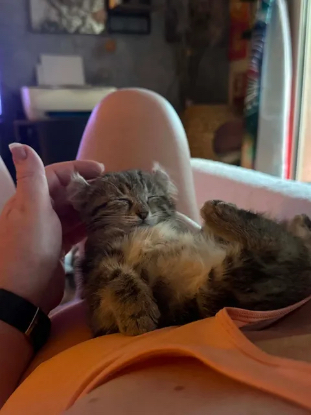 Adoption Arthus et ou bubbles